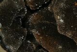 Septarian Dragon Egg Geode - Black Crystals #172800-2